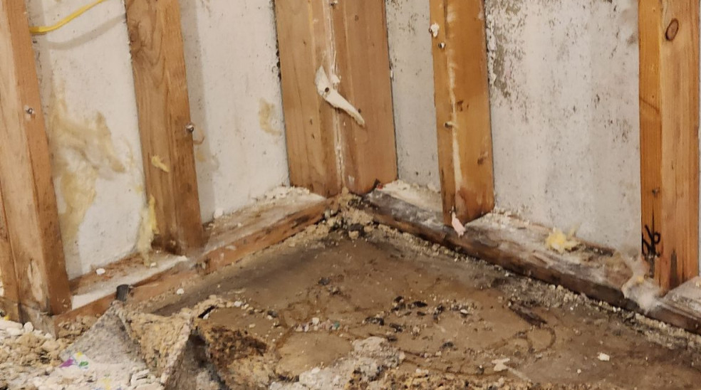 dry rot causes in north pacific homes
