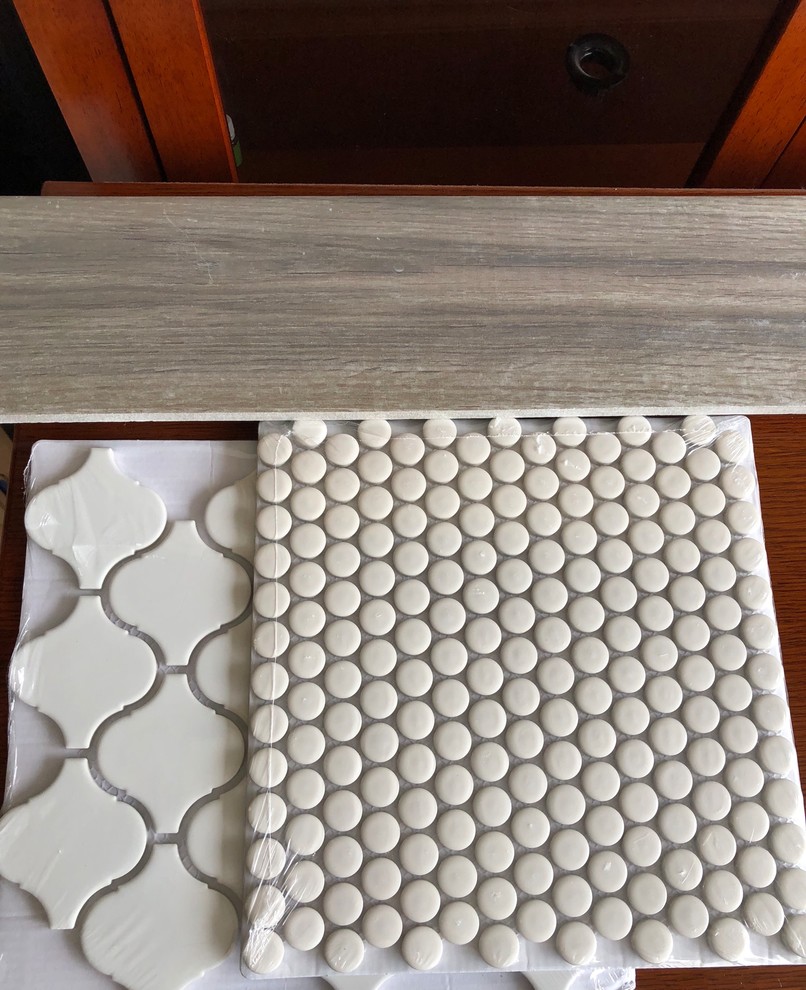 Shower with White Penny Tiles and White Grout - Transitional