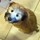 kristin_foley4483721