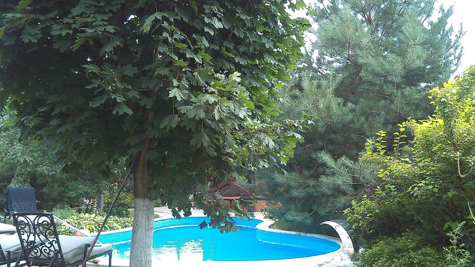 Домик среди старых дач