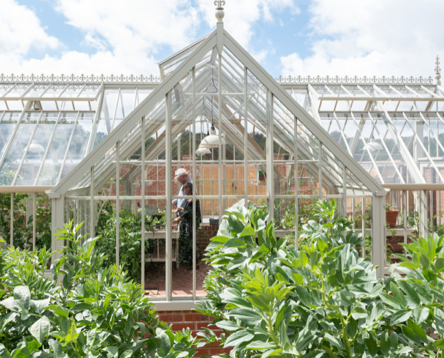 Photo of a large victorian detached greenhouse in Hampshire.