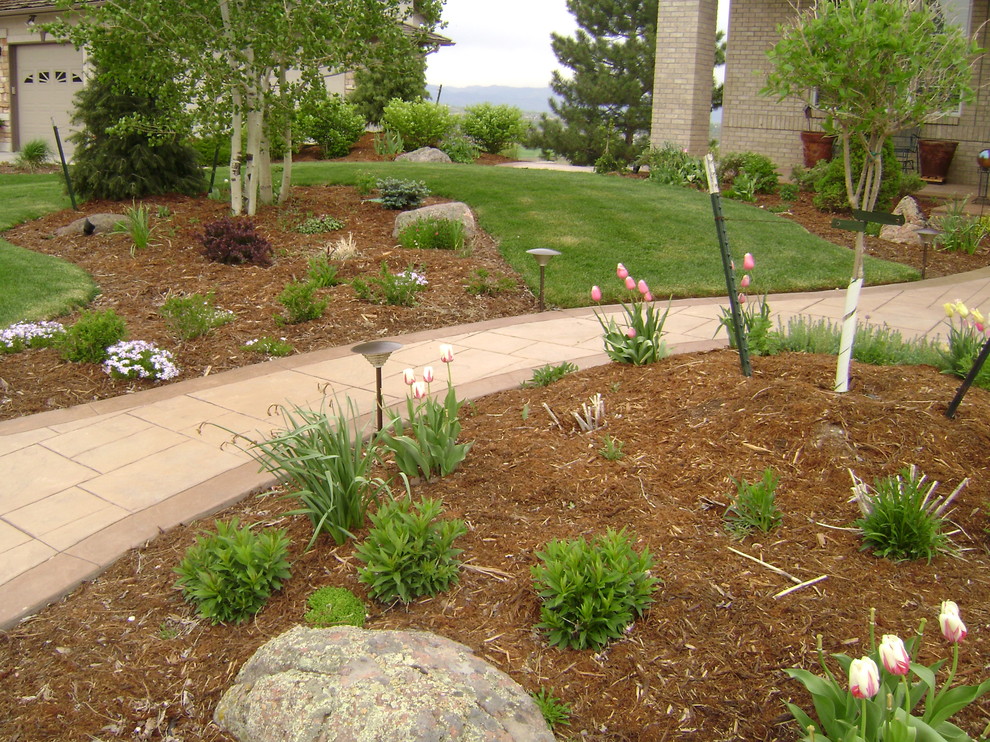 This is an example of a traditional landscaping in Denver.