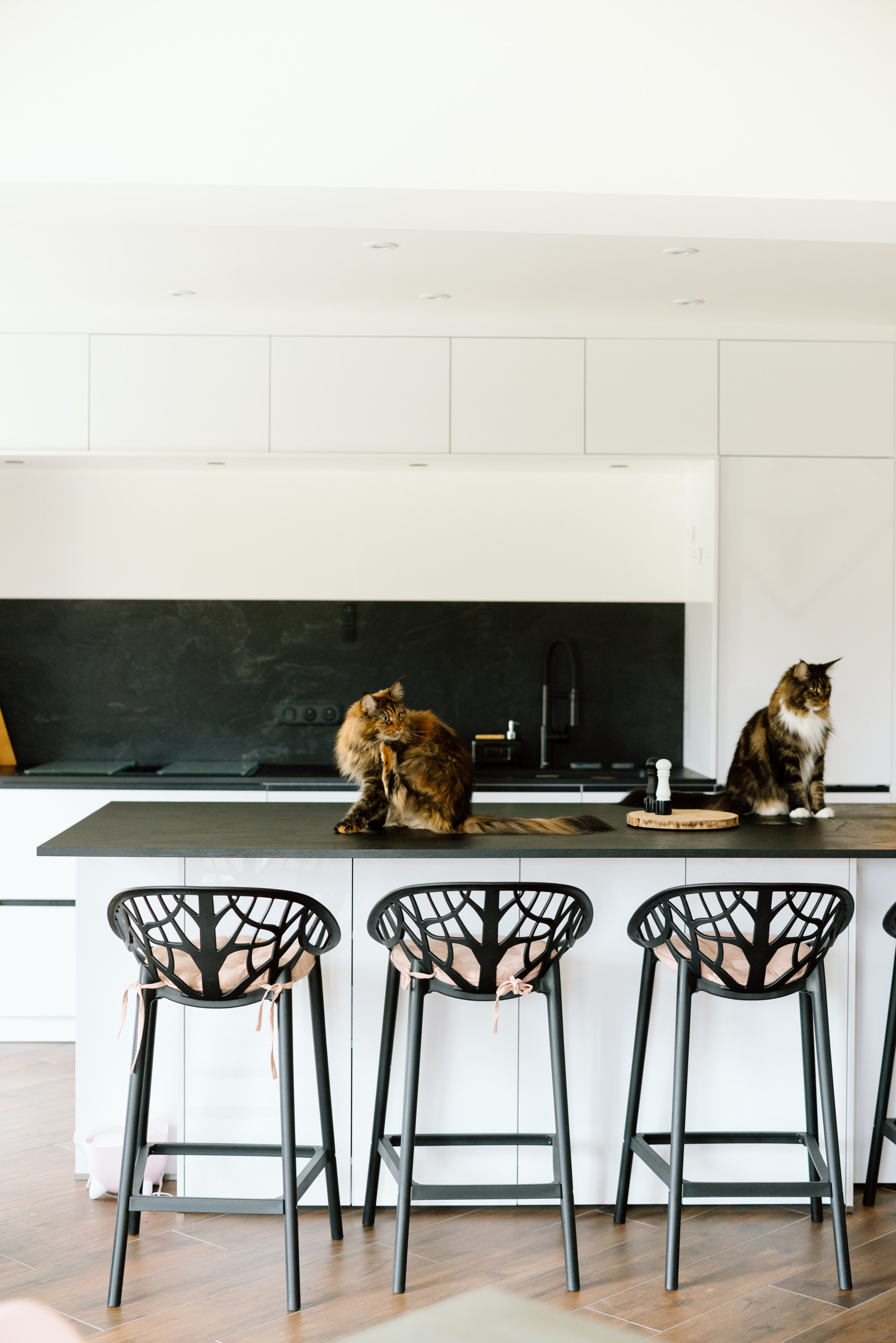 Rénovation Complète et Nouvelle Identité pour une Maison Individuelle