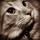 Last commented by Tammy TX 9a