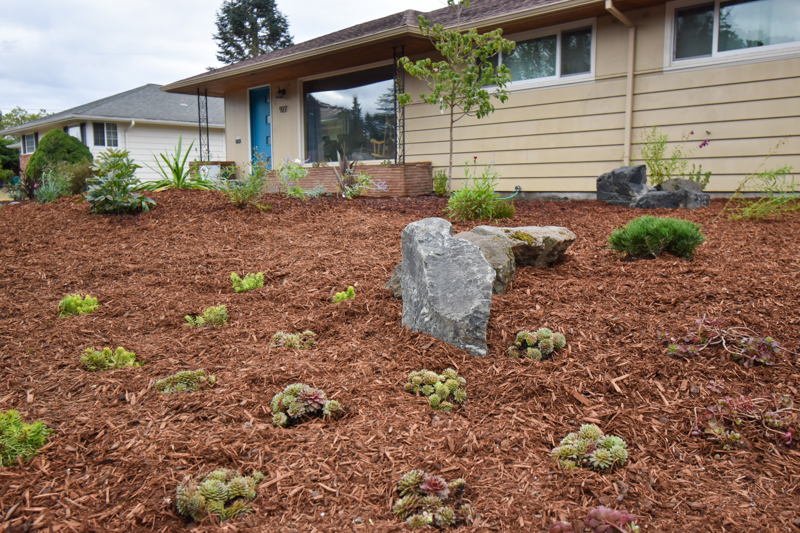 75 Rock Front Yard Landscaping Ideas You'll Love - November, 2022 | Houzz