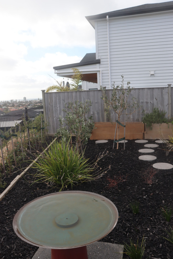 Geometrischer, Mittelgroßer Moderner Garten im Sommer, hinter dem Haus mit Hochbeet, direkter Sonneneinstrahlung, Mulch und Holzzaun in Auckland
