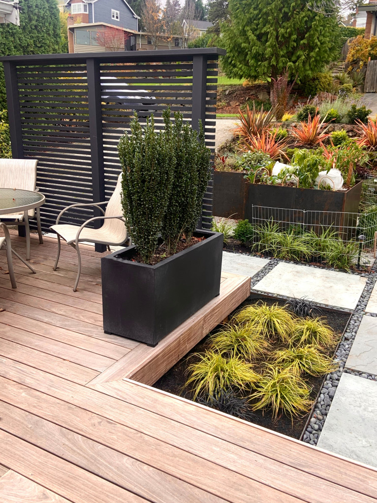 Inspiration for a small transitional full sun front yard concrete paver and wood fence landscaping in Seattle.