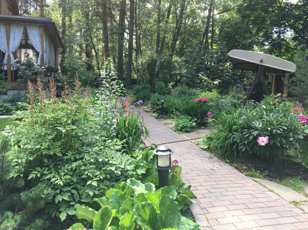 Белкин сад. Лето 2019