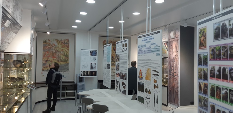 Интерьер музея археологии