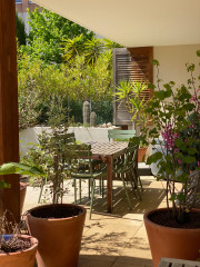 Avant/Après : Un jardin où la nature du Sud reprend ses droits