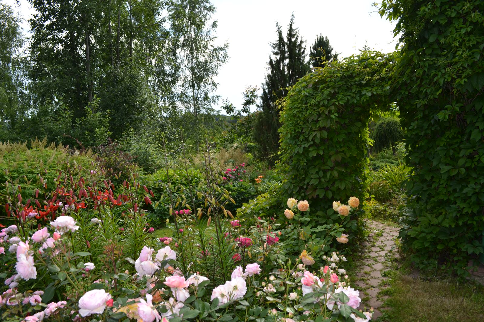 Сад  «Моя цветущая планета».