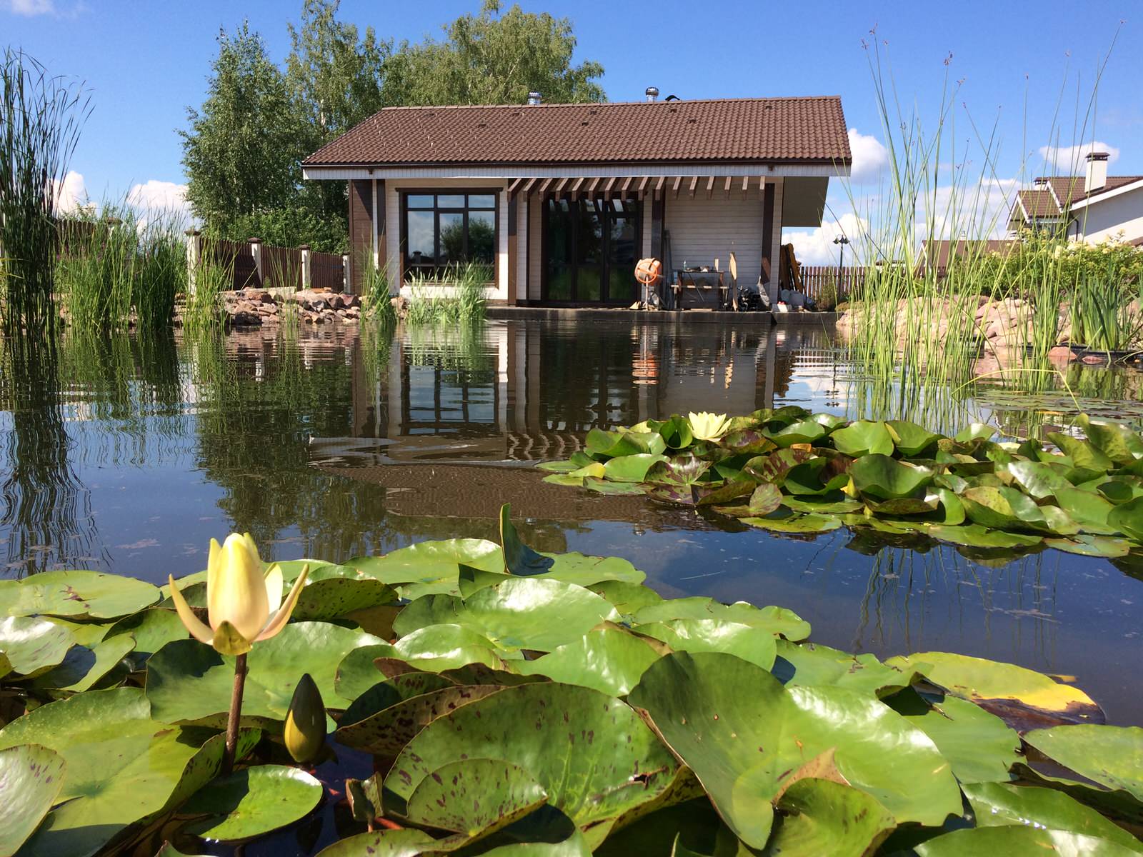 "реконструкция водоема"