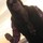 nicki_solie
