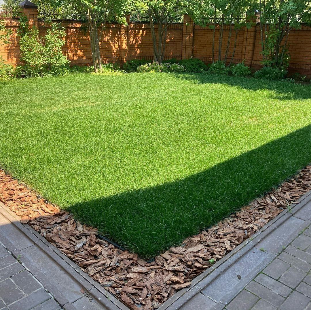 Рулонный газон