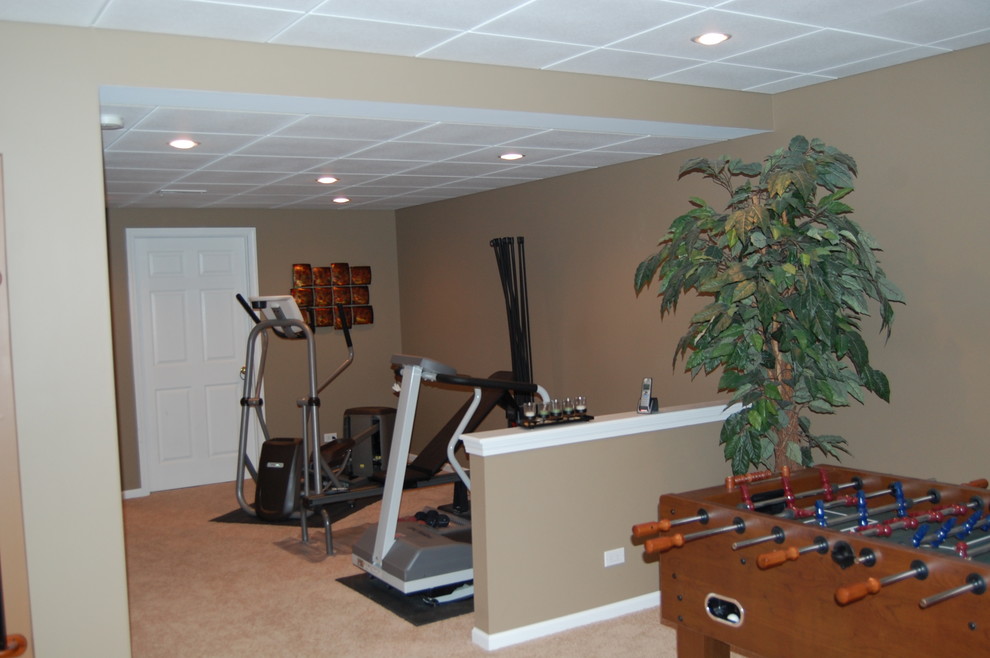 Large transitional basement photo in Chicago