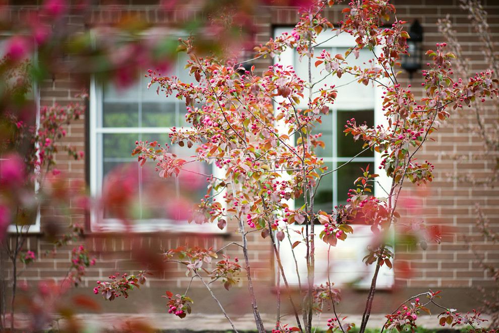 Первая весна в саду "Красный октябрь"