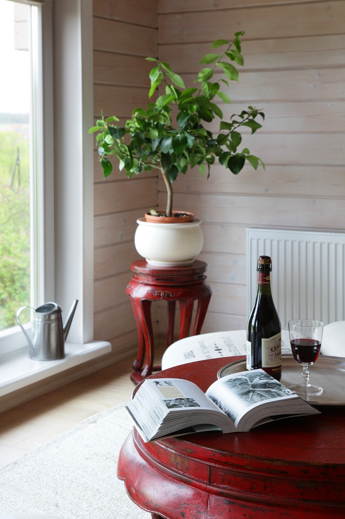 Проект загородного дома Н.Серебряковой