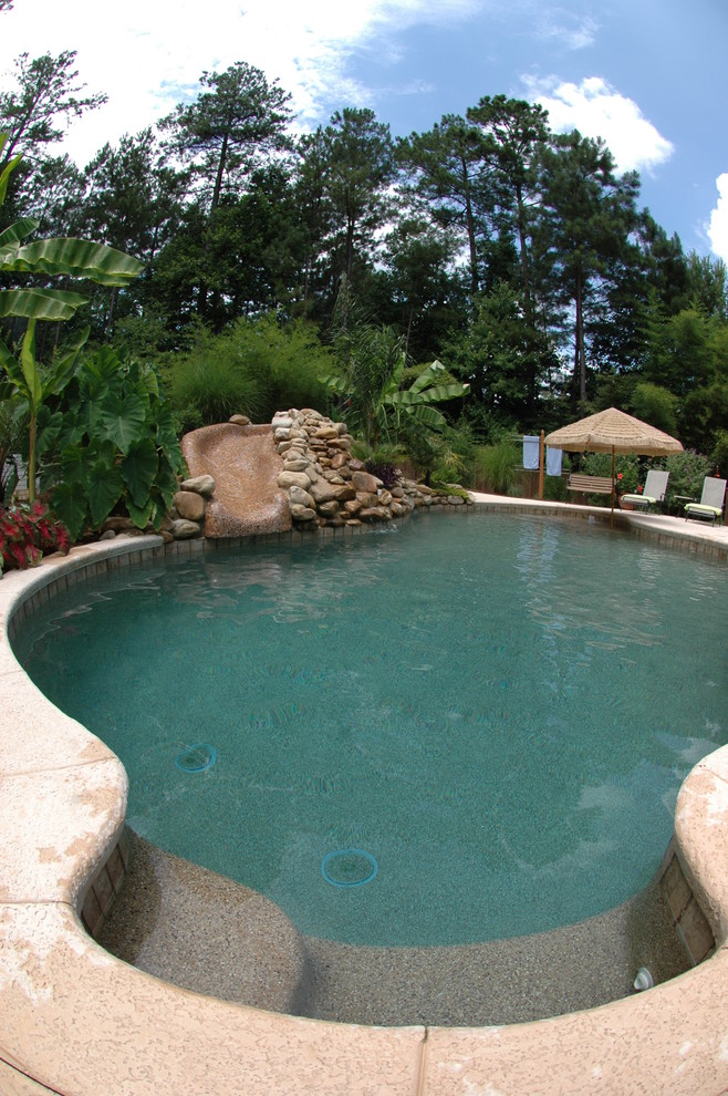 Hidden Slide And Tropical Pool Tropical Pool Atlanta By Hilltop Pools And Spas Inc