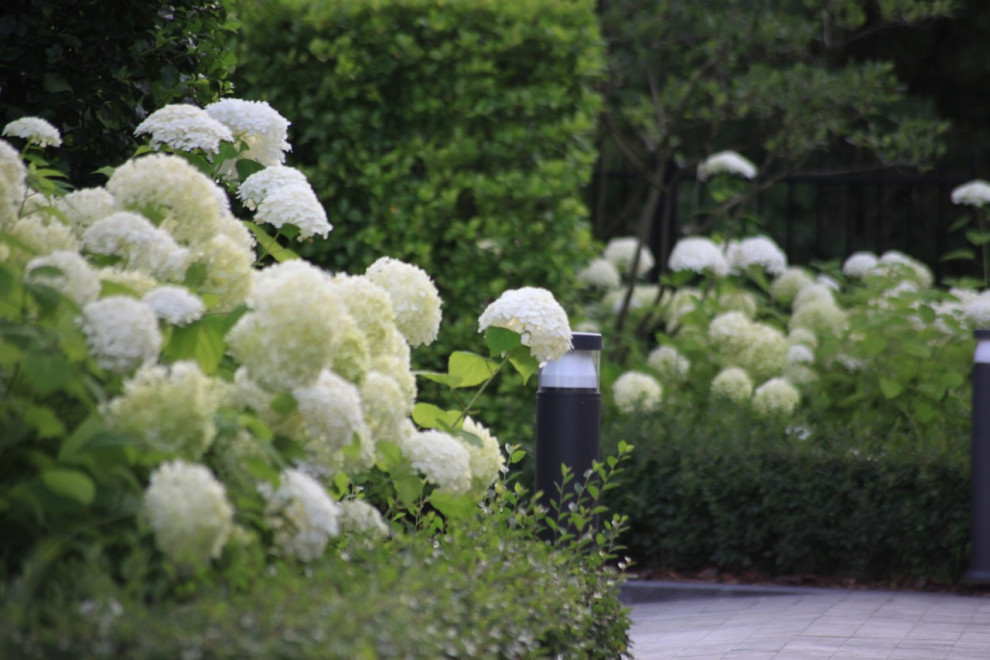 Тихая роскошь