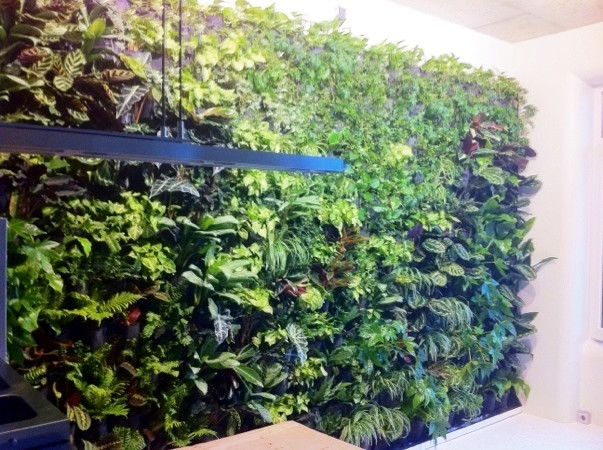 Нью-Йорк на Васильевском острове