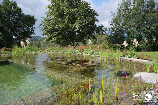 Schwimmteich contemporary-pool