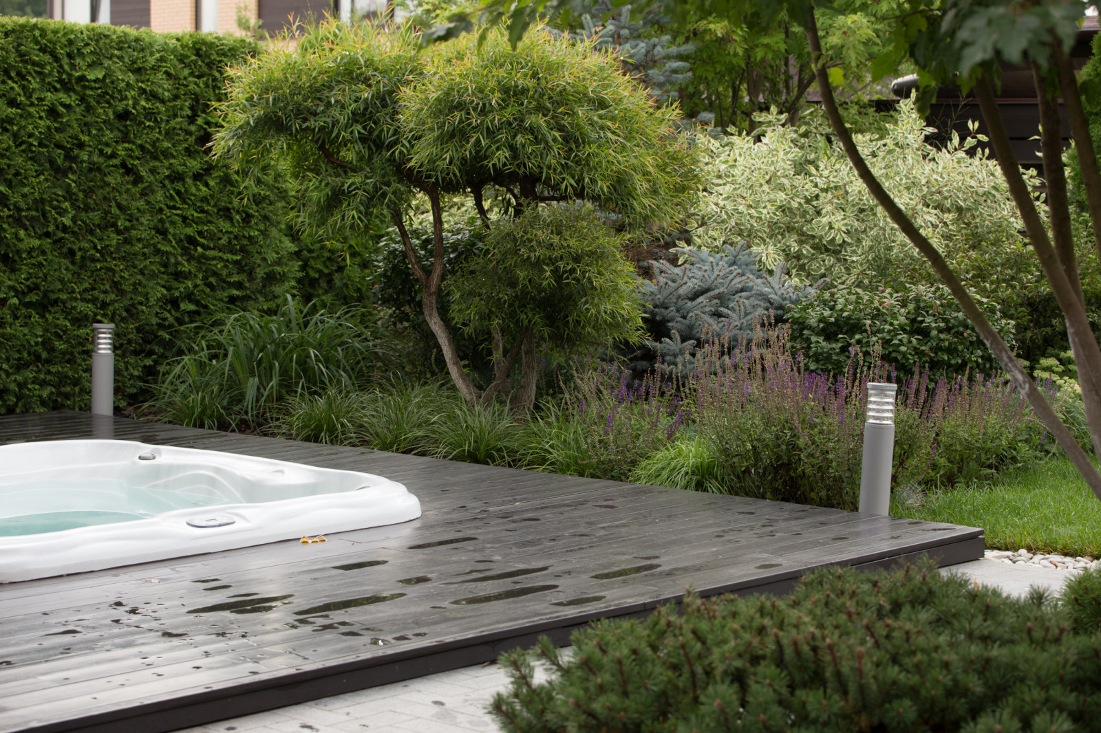 Светлогорье лето 2016