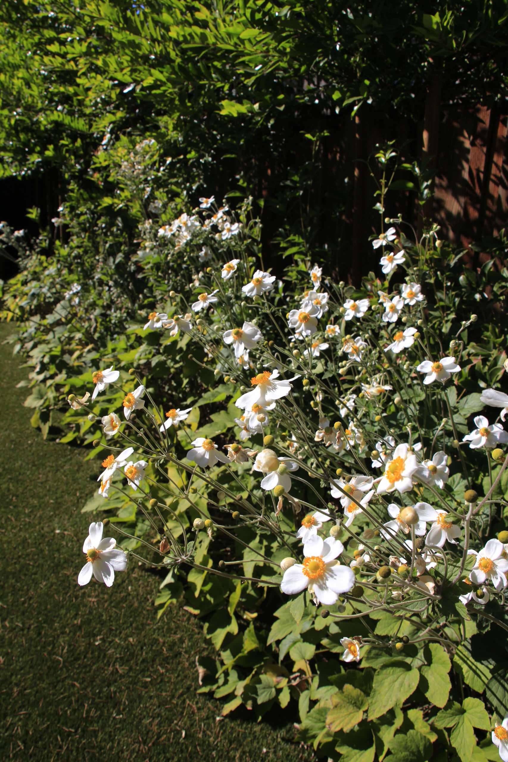 Minimalistic approach