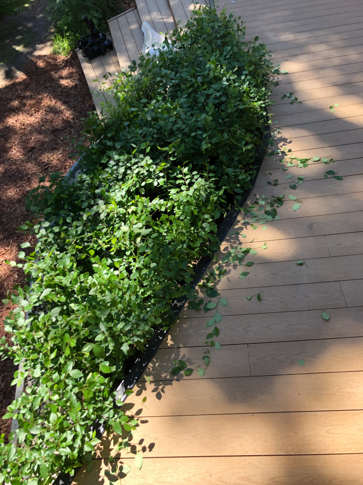 Необычная веранда (и терраса) к Необычному Дому (проект "Фазенда-лайф")