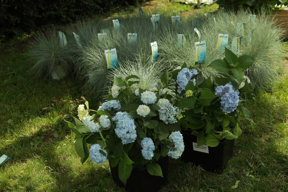 Балкон в экостиле