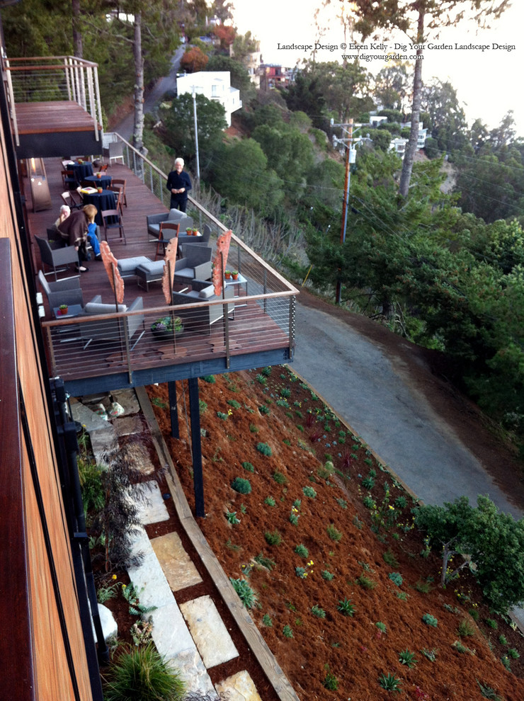 Design ideas for an expansive contemporary sloped partial sun xeriscape for summer in San Francisco with mulch.