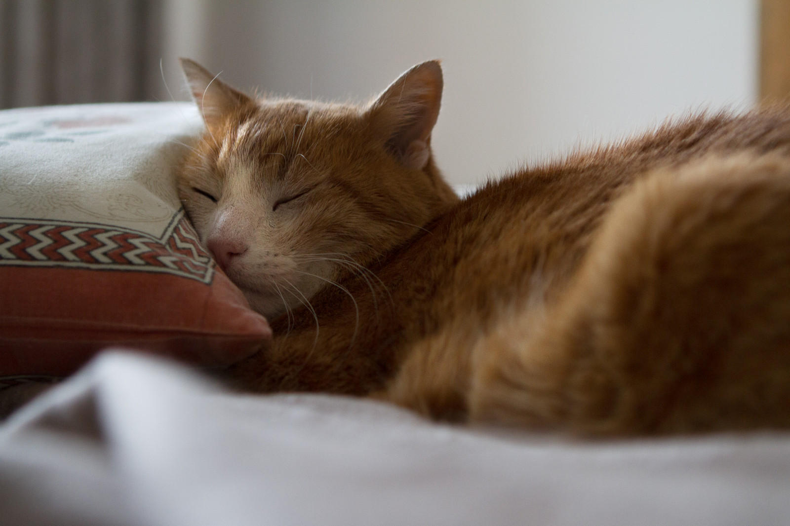 Квартира в стиле фьюжн