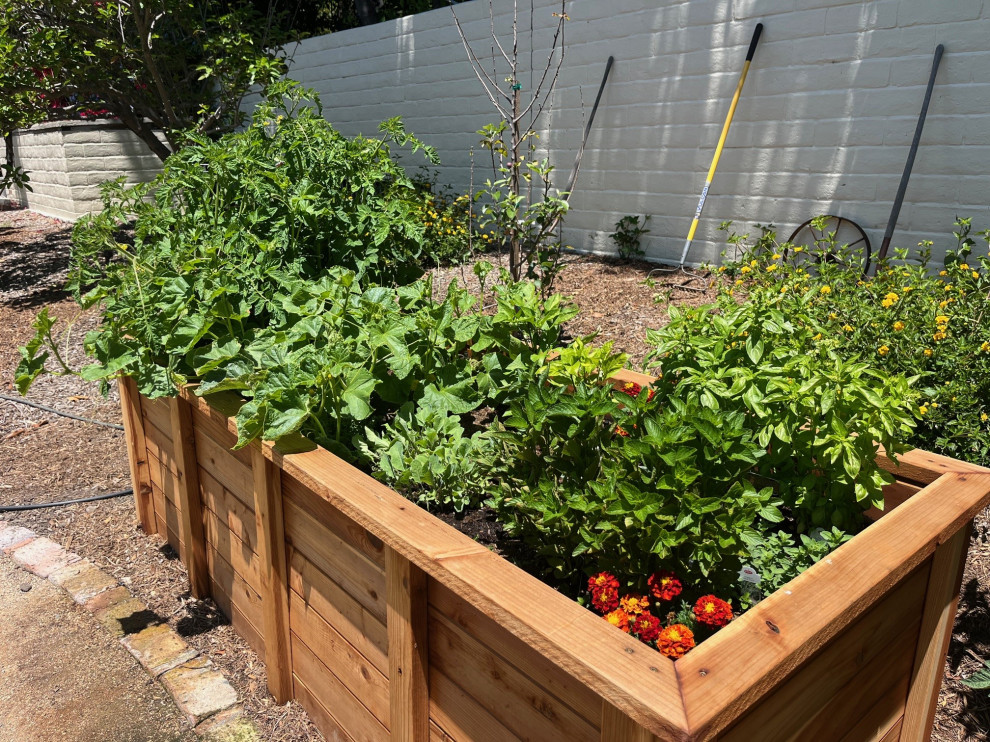 Garden Beds