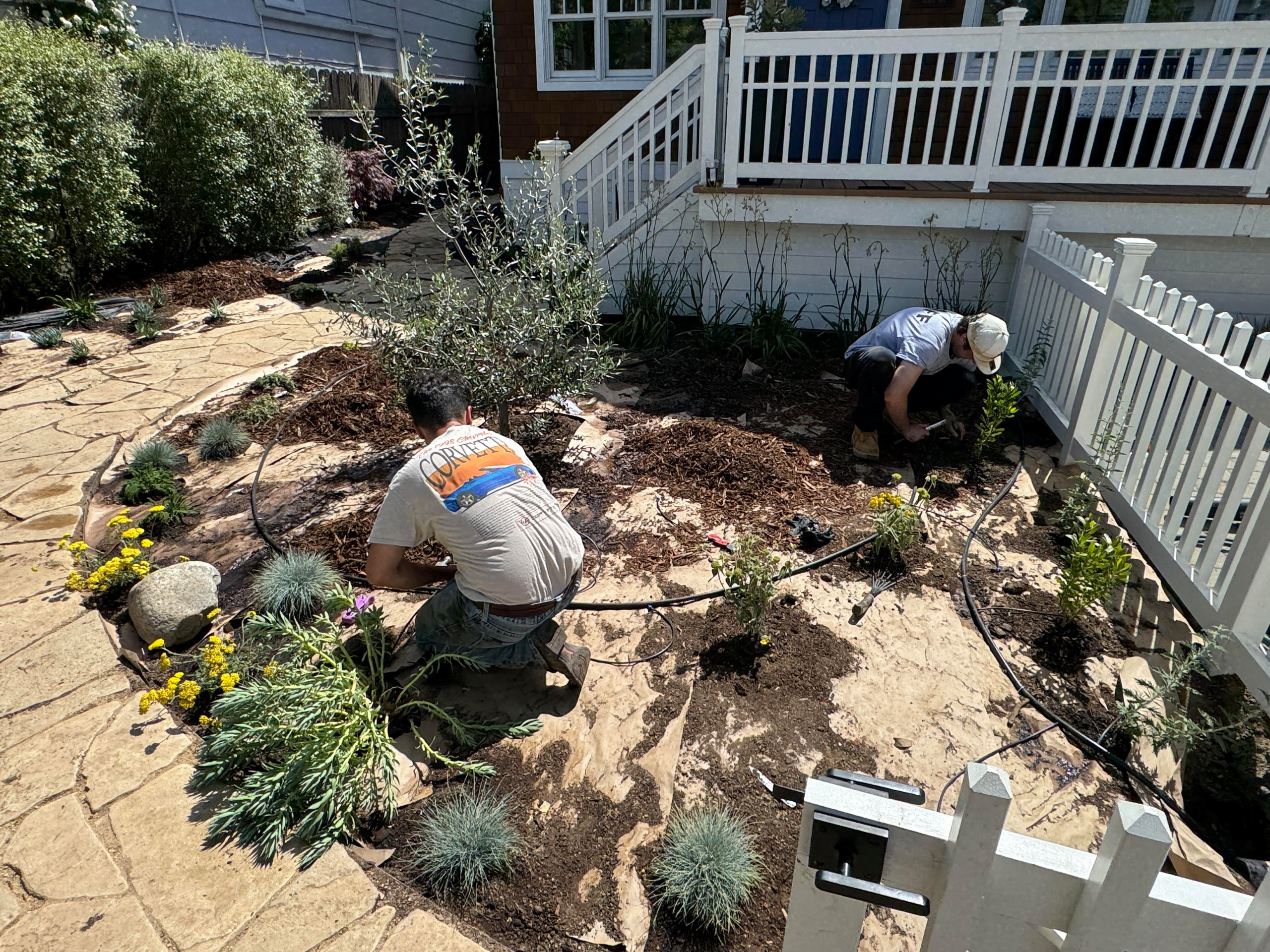 Cottage-Style Garden