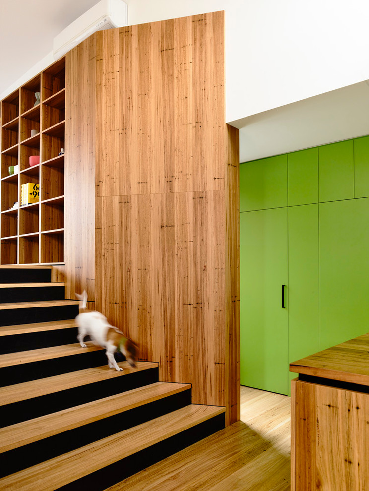 Inspiration for a contemporary wood straight staircase in Melbourne with painted wood risers.