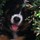 tina_betro