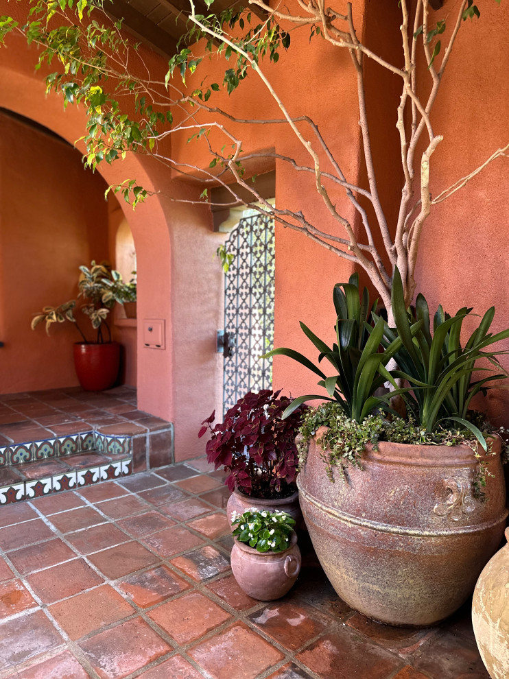 Immagine di un giardino xeriscape mediterraneo esposto a mezz'ombra di medie dimensioni e in cortile in autunno con un ingresso o sentiero, pavimentazioni in mattoni e recinzione in metallo