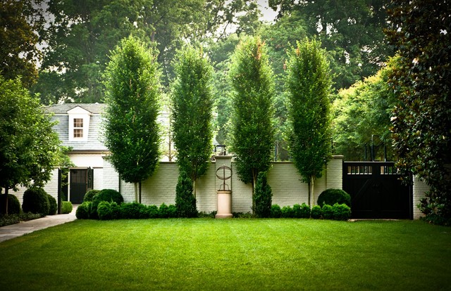 Boxwood traditional-garden
