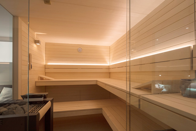 Bauhaus Sauna modern-basement