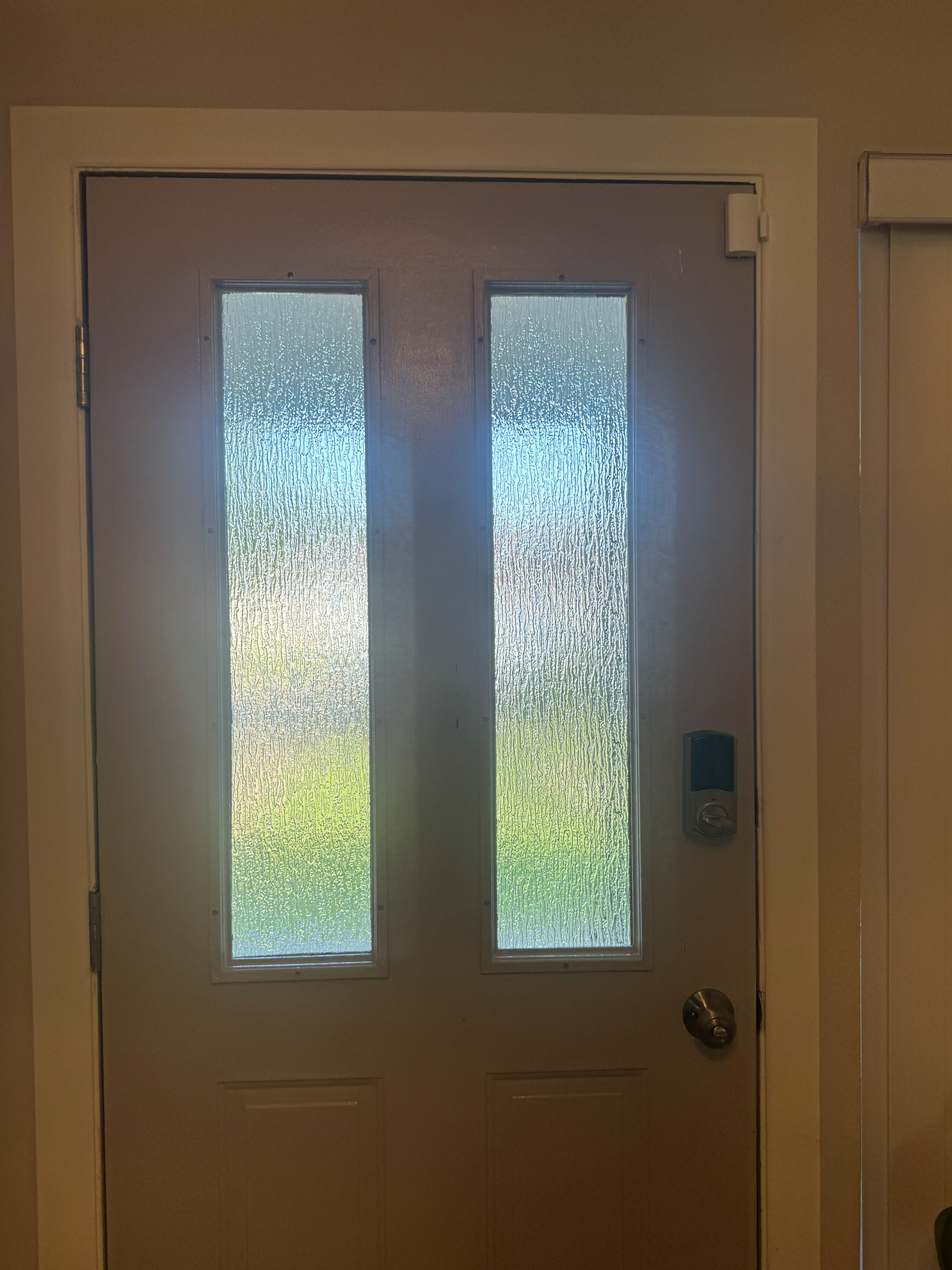 PRIVACY GLASS PANE