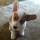 shanshan_wang17