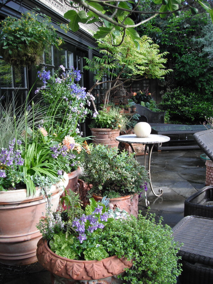 This is an example of a mediterranean garden in Vancouver.