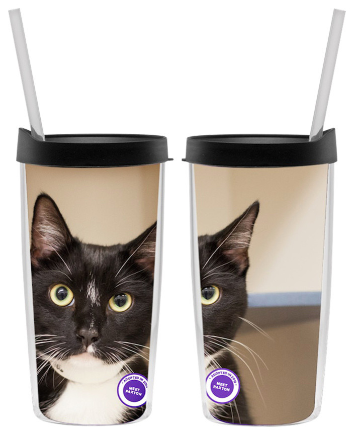 Paxton the Cat ASPCA Fountain Cup
