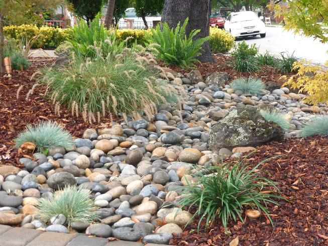 Front Yard Landscape