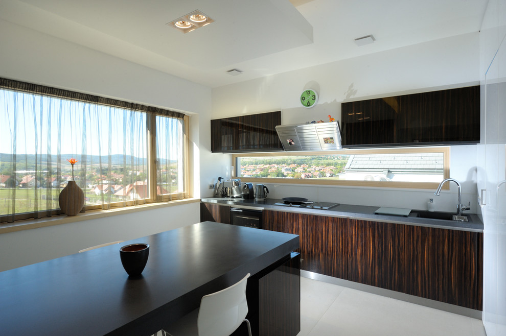 This is an example of a contemporary single-wall eat-in kitchen in Other with flat-panel cabinets and dark wood cabinets.