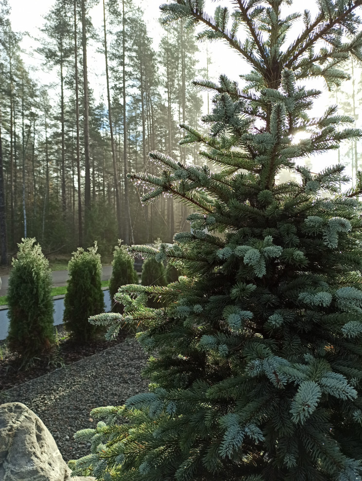 Ленинское-Репино