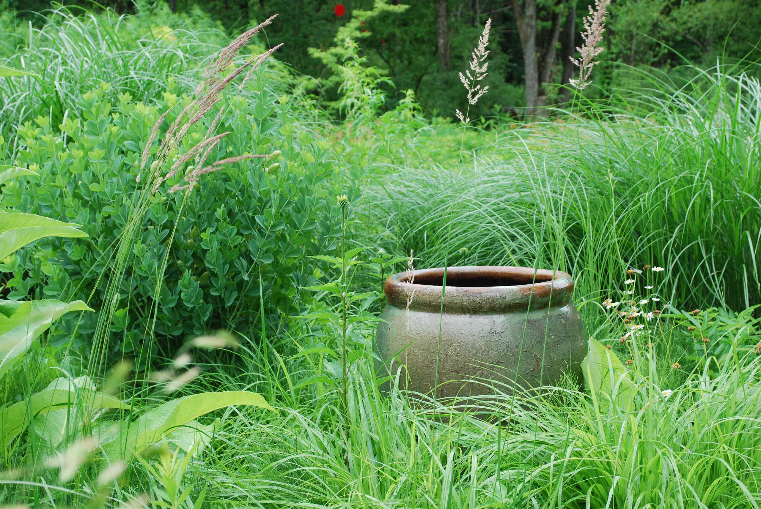 James Golden's Garden at Federal Twist