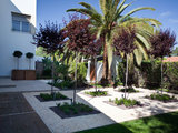 8 Giardini che Richiedono Poca Manutenzione (8 photos) - image  on http://www.designedoo.it