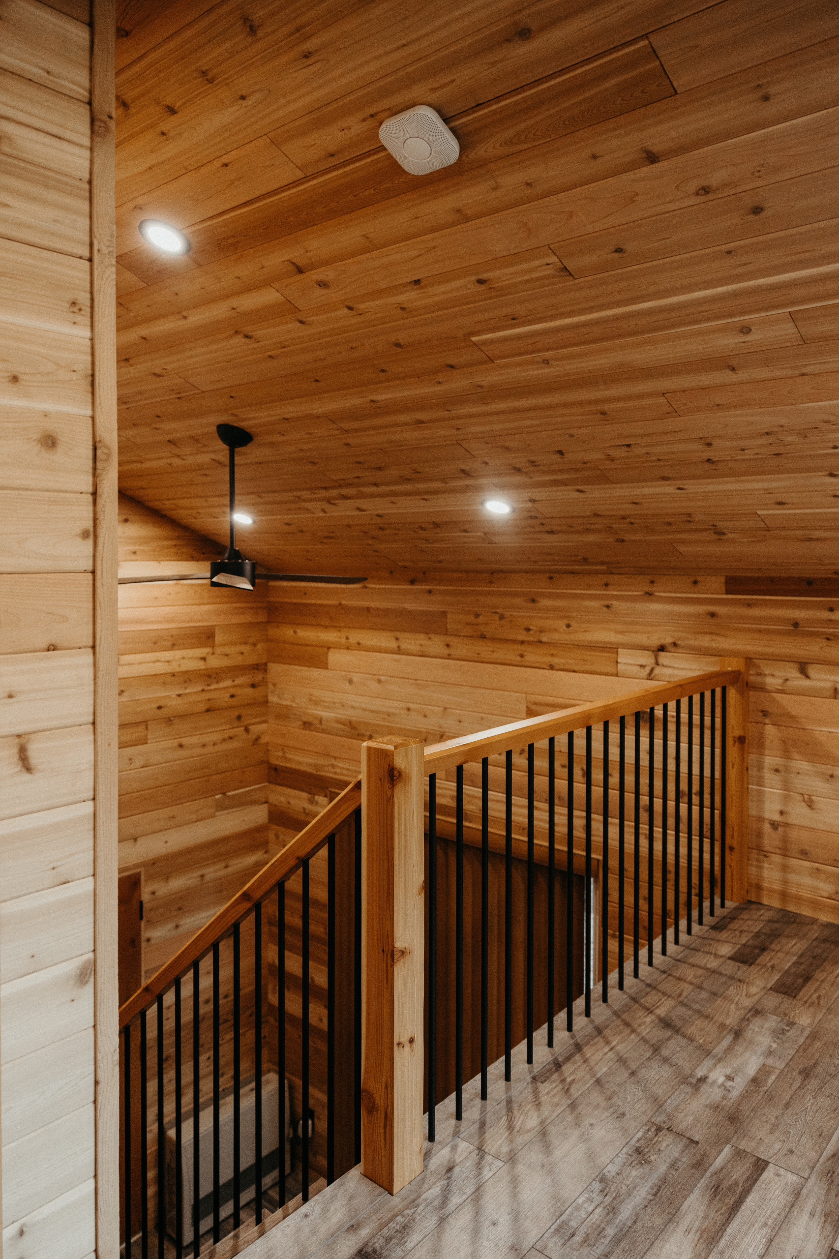 Cabin in the woods