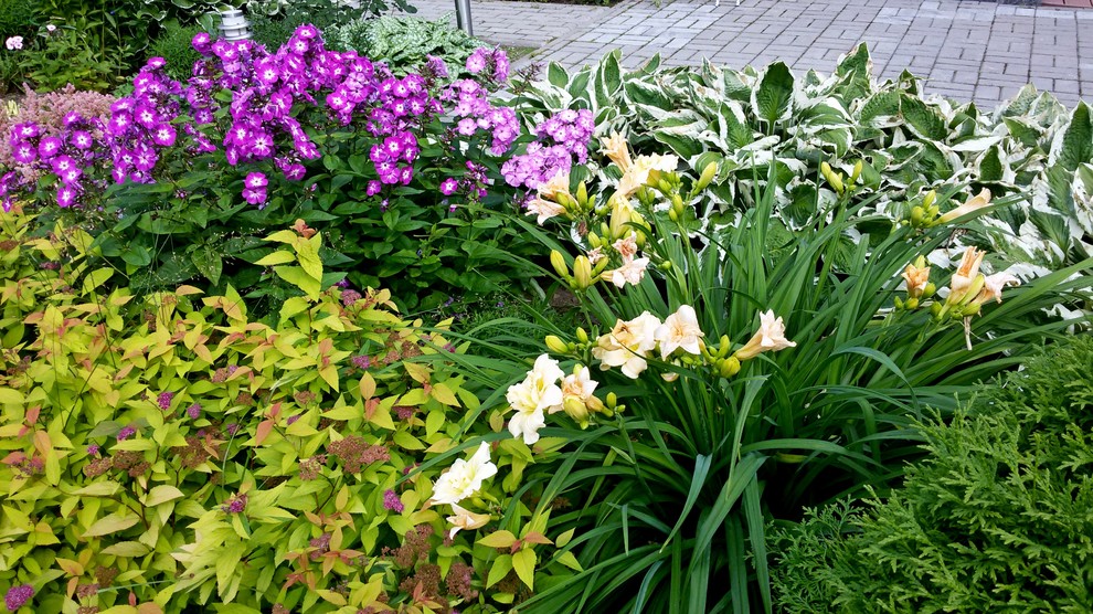 Цветовые сочетания в миксбордере