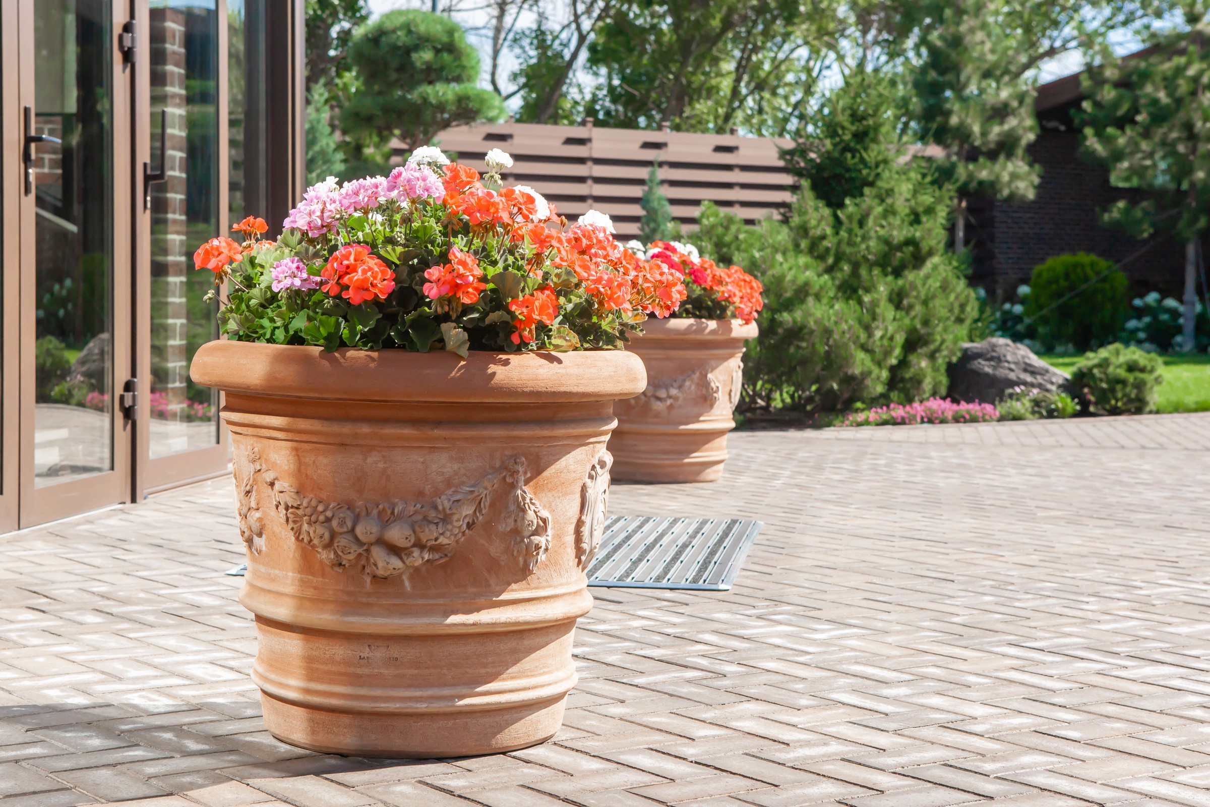 "Сосновая история"